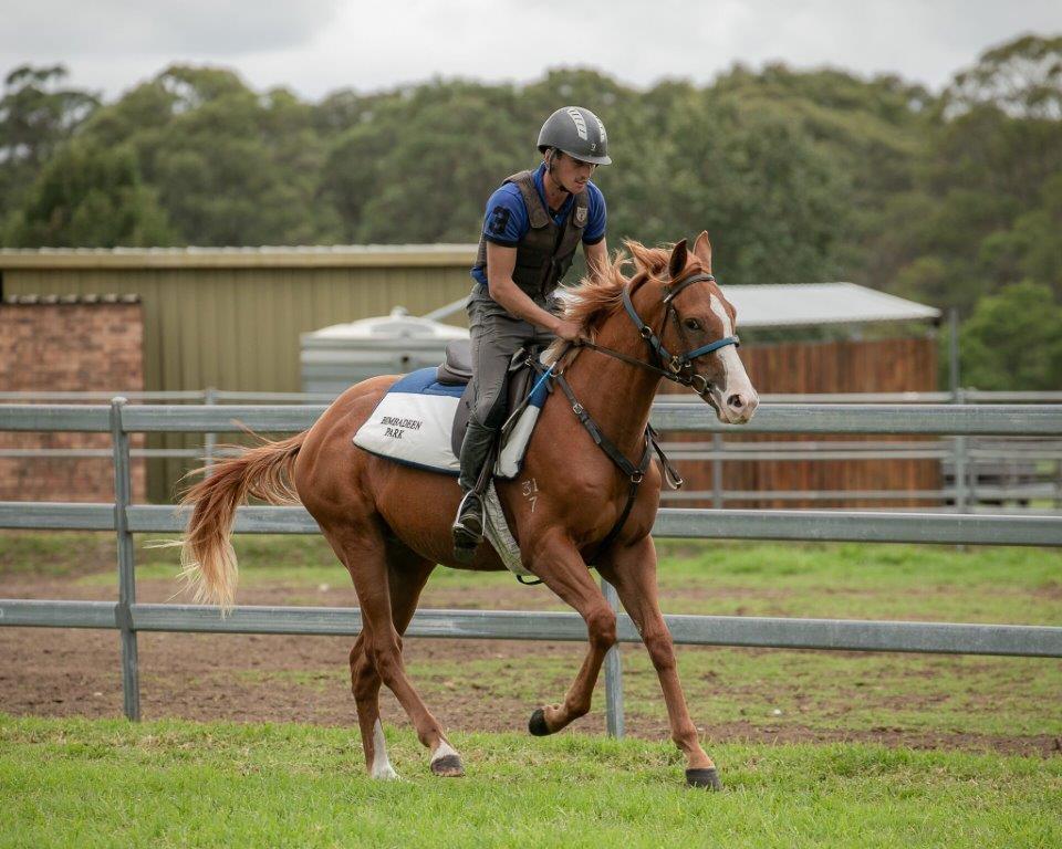 SCISSOR KICK x MISS BAX Colt with The People's Trainer RICHARD FREEDMAN